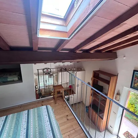 Monolocale Le Mimose Apartment *