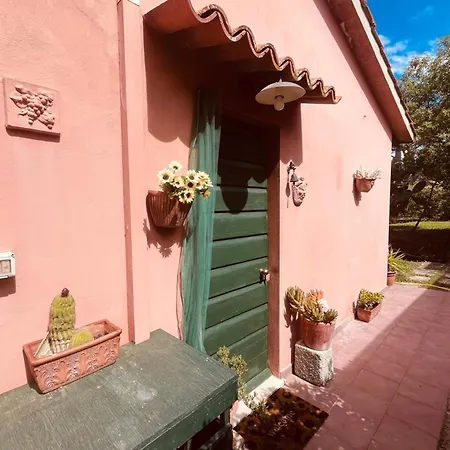 Monolocale Le Mimose 费拉约港