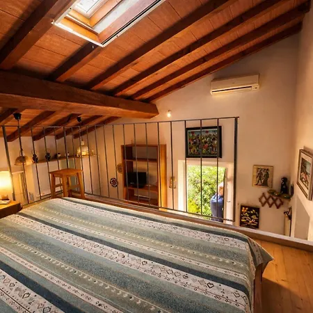 Monolocale Le Mimose Apartment *