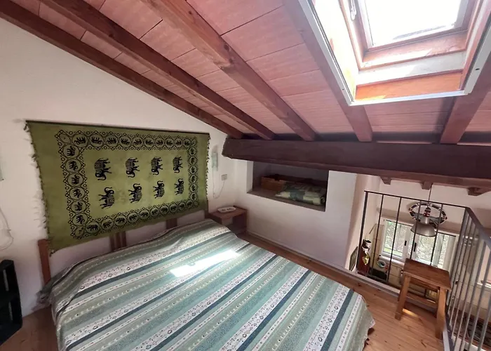 Monolocale Le Mimose