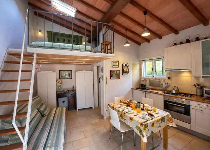 Monolocale Le Mimose Apartment