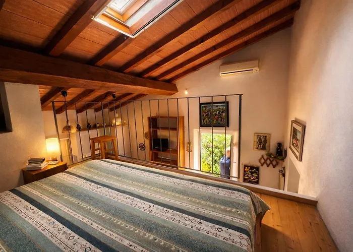 Monolocale Le Mimose Apartment *